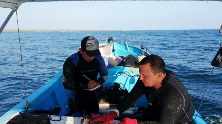 56673030_1994329800678058_4007177261370310656_o Avanza monitoreo de especies pesqueras en la Reserva Marina de Galápagos