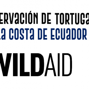 Proyecto Tortugas INVESTIGADORES SOBRE TORTUGAS MARINAS EN EL ECUADOR Y WILDAID EMPIEZAN A ELABORAR UNA AGENDA DE TRABAJO