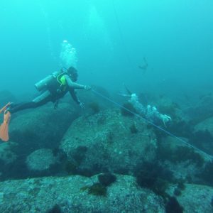 DCIM\100GOPRO WILDAID PROMUEVE LA TOMA DE DECISIONES INFORMADAS