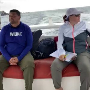 DELFINES FORTALECEMOS LA CONSERVACIÓN DEL DELFIN COSTERO