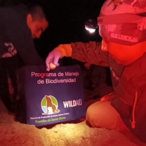 IMG-20221007-WA0000 GUARDAPARQUES Y VOLUNTARIOS PROTEJEN NIDOS DE TORTUGAS MARINAS EN SALINAS