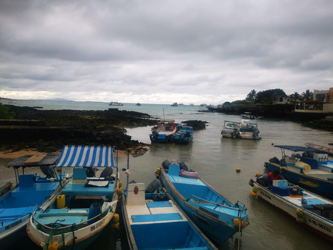 WildAid bajo la asistencia técnica de Shellcatch,  inició el proceso voluntario de instalación de Video Observadores a los pescadores artesanales de Galápagos.