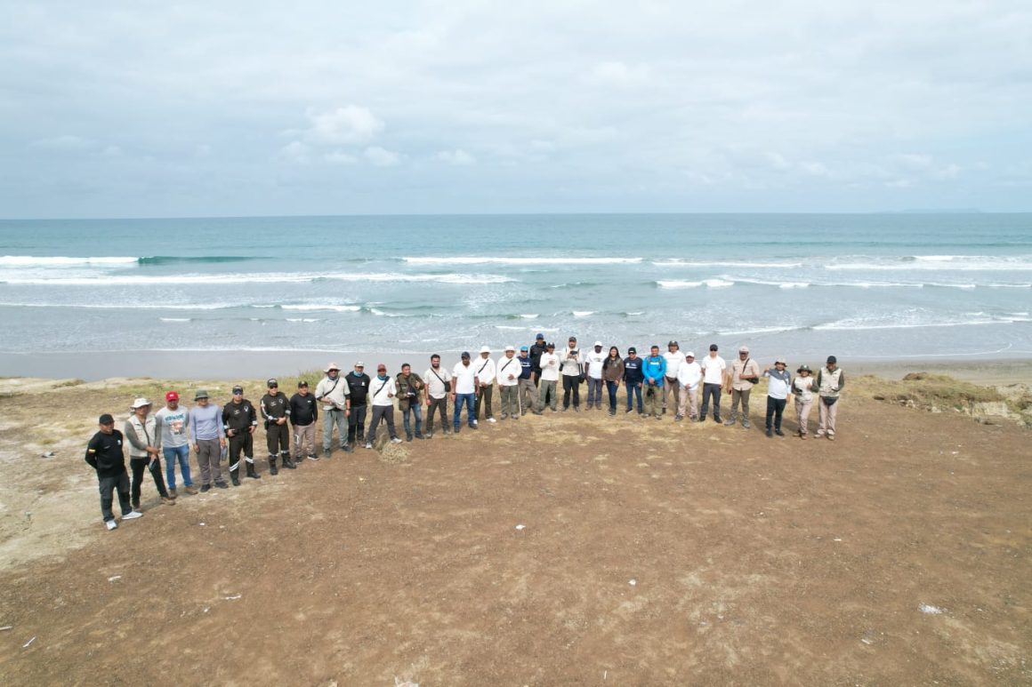 Participantes del taller uso y operación de drones para el control y vigilancia de manglares en áreas marinas y costeras protegidas. Participantes del taller uso y operación de drones para el control y vigilancia de manglares en áreas marinas y costeras protegidas.
