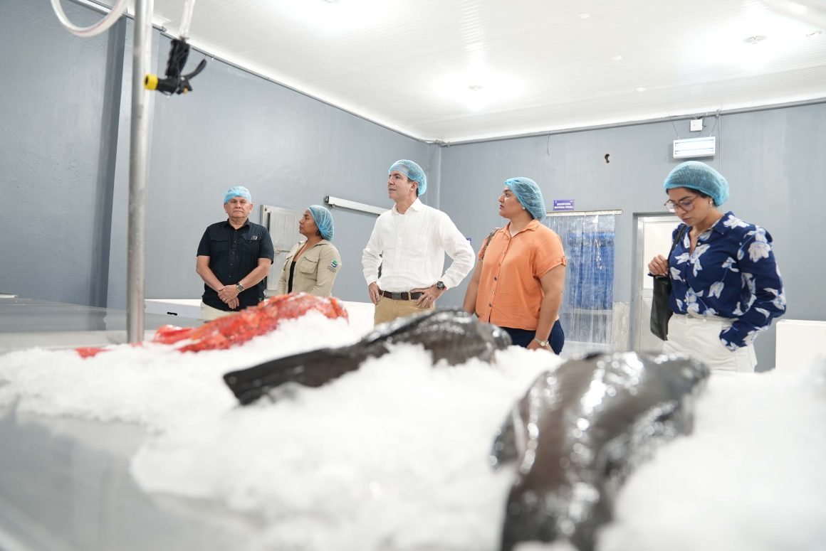 COPROPAG Pescadores artesanales apuntan a mejorar su capacidad productiva gracias a la renovación de su centro de acopio