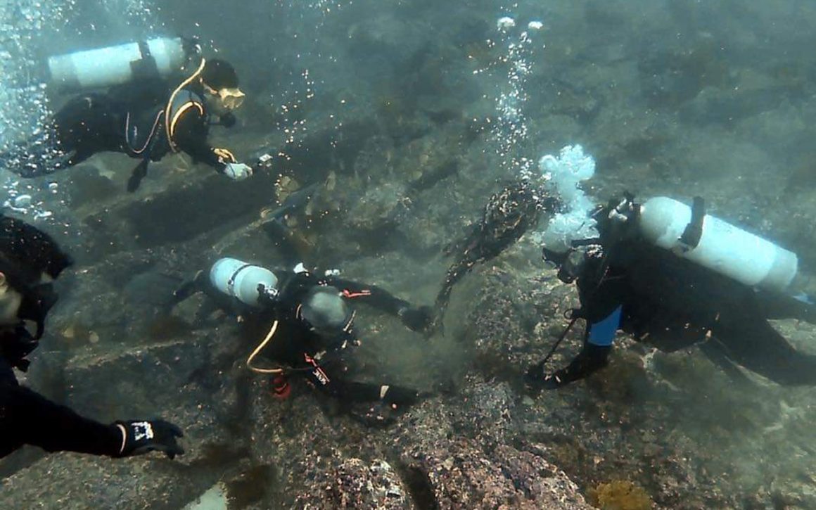 Portada Proyecto para recolección de redes fantasmas busca la recuperación de los ecosistemas marinos de Áreas Marino Costeras Protegidas
