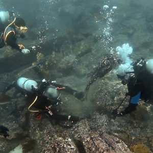 Portada Proyecto para recolección de redes fantasmas busca la recuperación de los ecosistemas marinos de Áreas Marino Costeras Protegidas