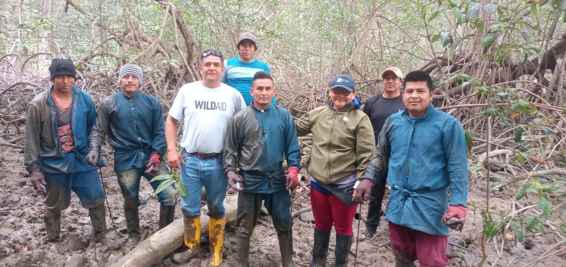 IMG_20260131_183606.jpg LA VIGILANCIA COMUNITARIA DEL MANGLAR DURANTE LA VEDA DEL CANGREJO CONTRIBUYE A SU CONSERVACIÓN
