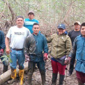 LA VIGILANCIA COMUNITARIA DEL MANGLAR DURANTE LA VEDA DEL CANGREJO CONTRIBUYE A SU CONSERVACIÓN