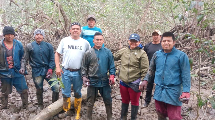 IMG_20260131_183606.jpg LA VIGILANCIA COMUNITARIA DEL MANGLAR DURANTE LA VEDA DEL CANGREJO CONTRIBUYE A SU CONSERVACIÓN