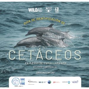 GUÍA DE IDENTIFICACIÓN DE CETÁCEOS EN RIESGO DE ENMALLAMIENTO