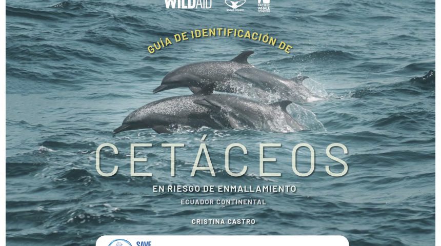GUÍA DE IDENTIFICACIÓN DE CETÁCEOS EN RIESGO DE ENMALLAMIENTO