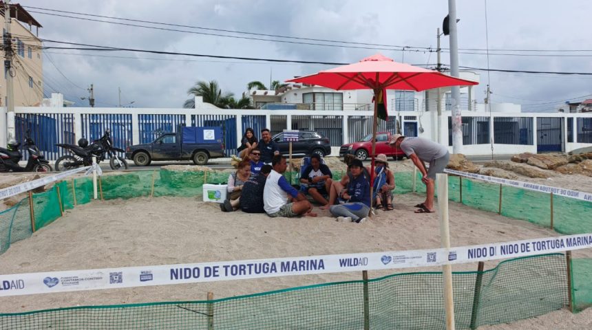 WhatsApp Image 2026-02-25 at 3.39.12 PM LOGRAN LLEGAR AL MAR 44 TORTUGUITAS LAÚD EN ECUADOR